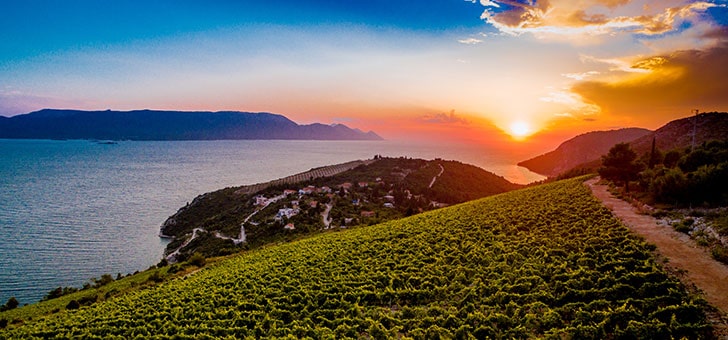 Image of a sunset in Komarna wine-growing subregion