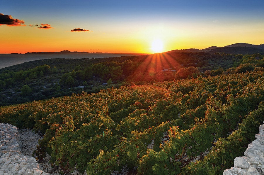 Image of sunset over Lumbarda vineyards of Bire Winery