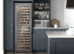 Best-Wine-Cooler-And-Refrigerator