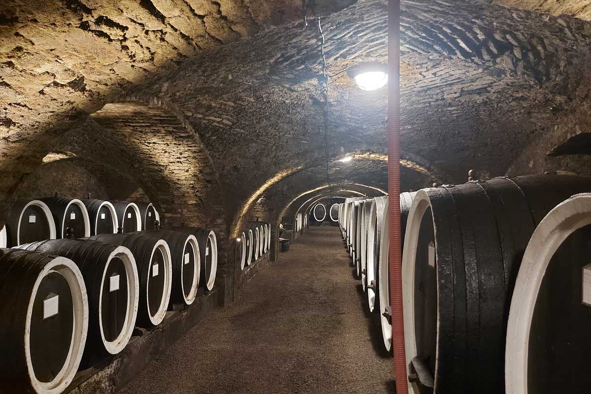 Single-Vineyard-Wines-Kutjevo-Old-Cellar
