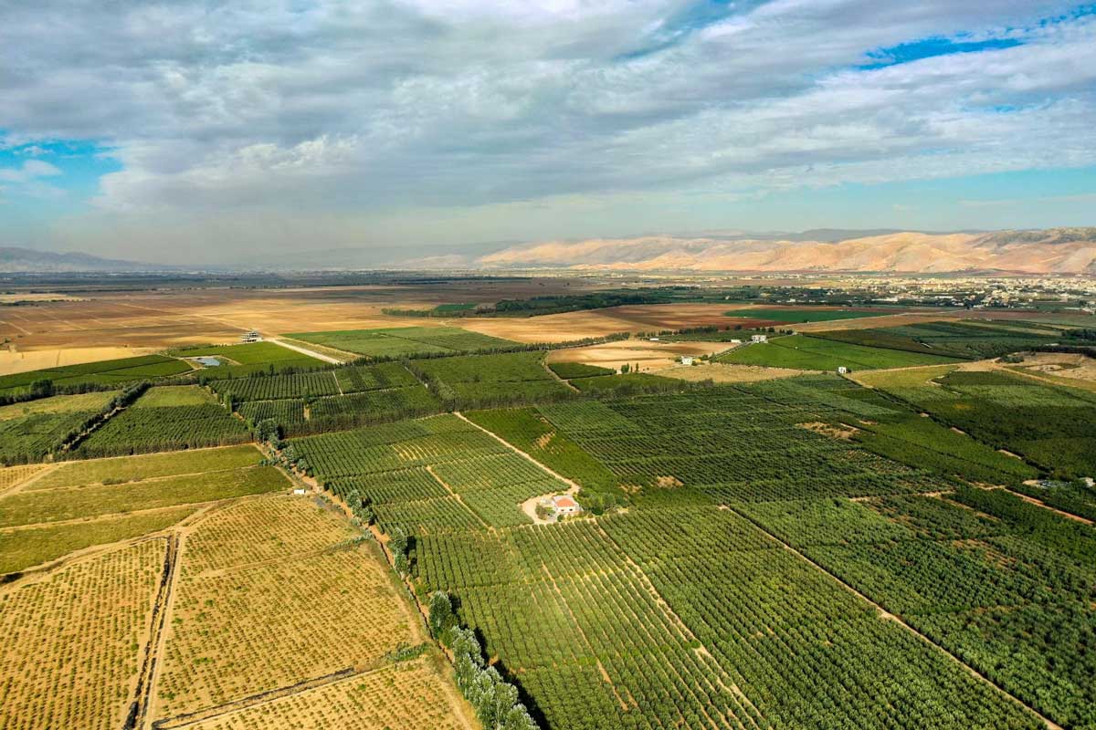 wine-subregions-Bekaa-Valley-in-Lebanon