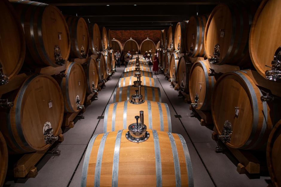 Image of a wine cellar of Enosophia Winery