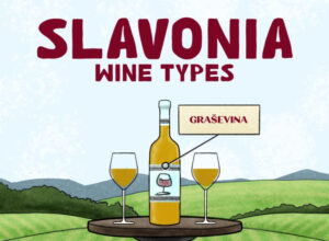 slavonia-wine-types_featured