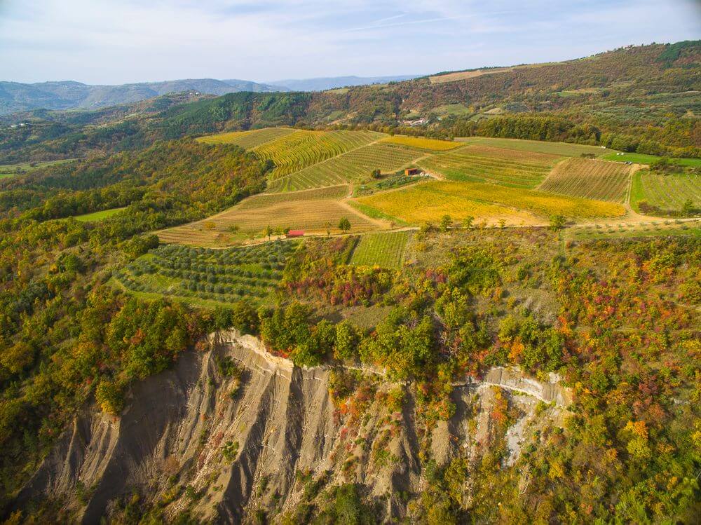 Grimalda Vineyards Istria