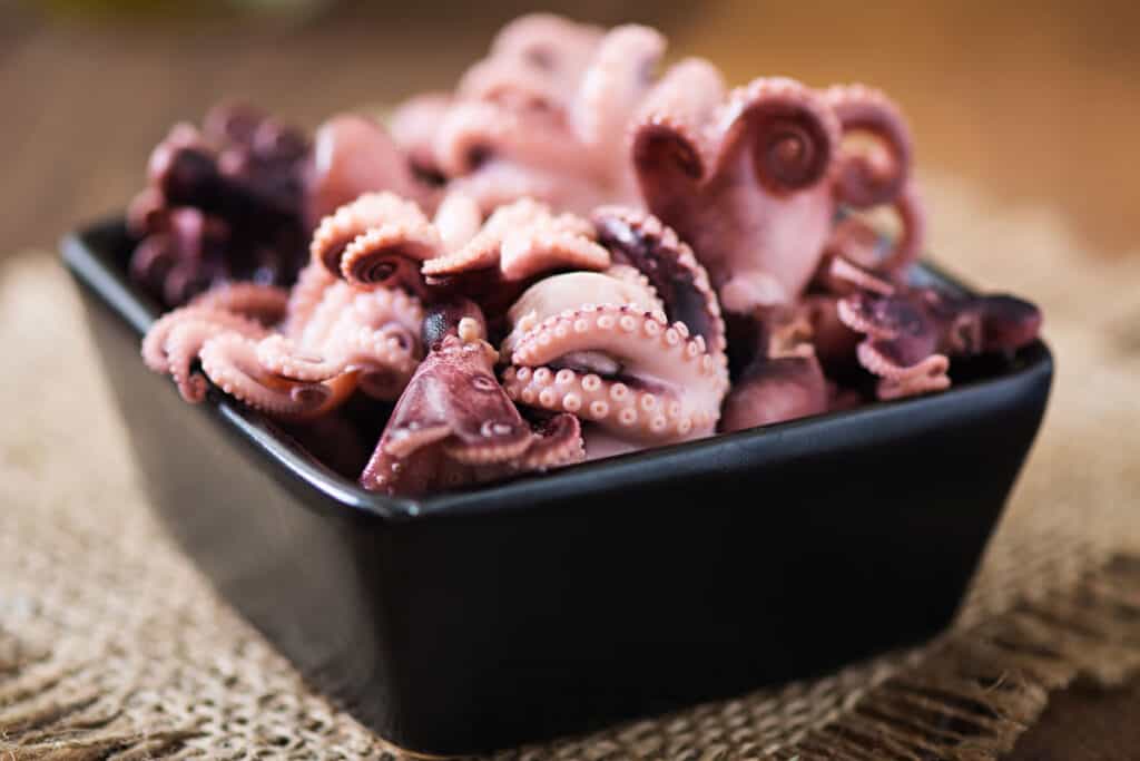 octopus-plate