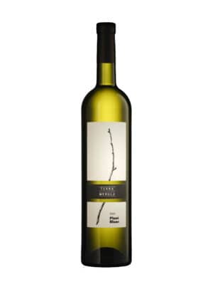 Terra-Merula-Pinot-Blanc