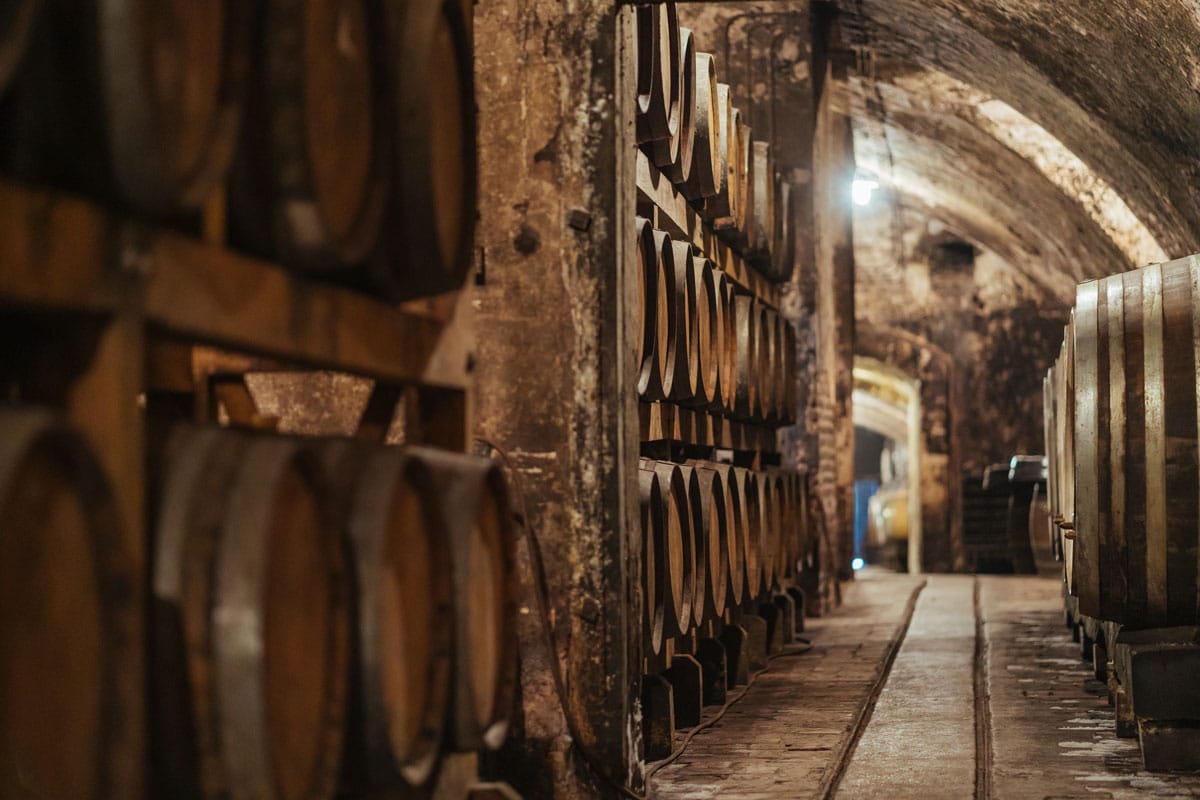 Old-VIntage-Wine-Article-Old-Cellar