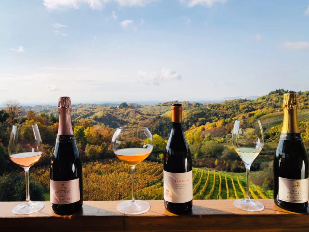 Image of Jagunić Winery wines with panoramic view over the vinyards