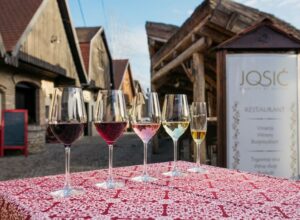 Josić winery-2