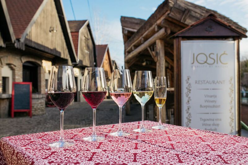Josić winery-2