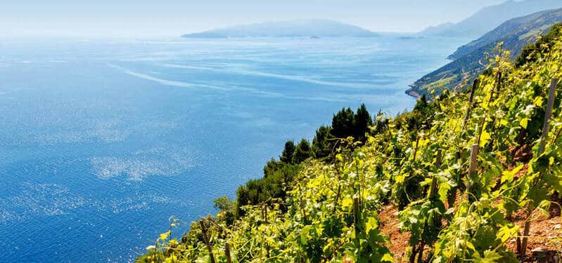 Image of a Dingač wine-growing appellation with panoramic sea view