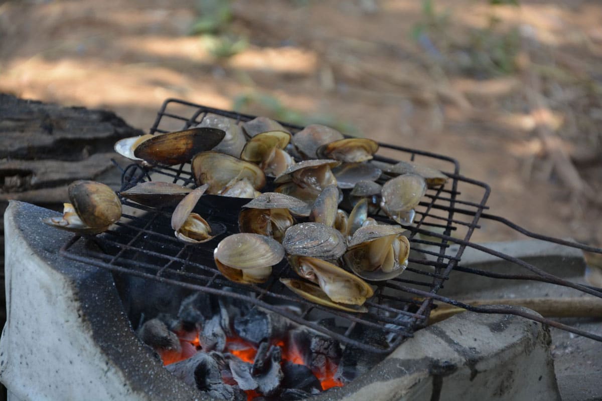 grilled-seafood