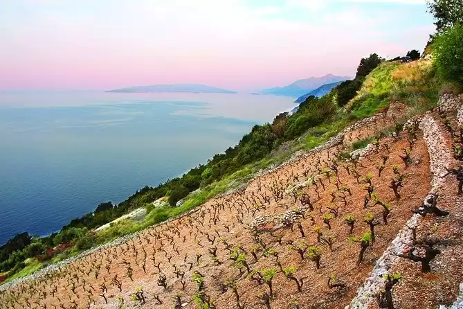 Ston & Peljesac Tour With Wine Tastings From Dubrovnik