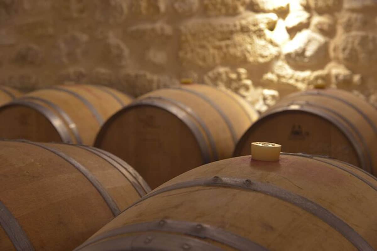 Wine-Tours-in-Bordeaux-4-From-