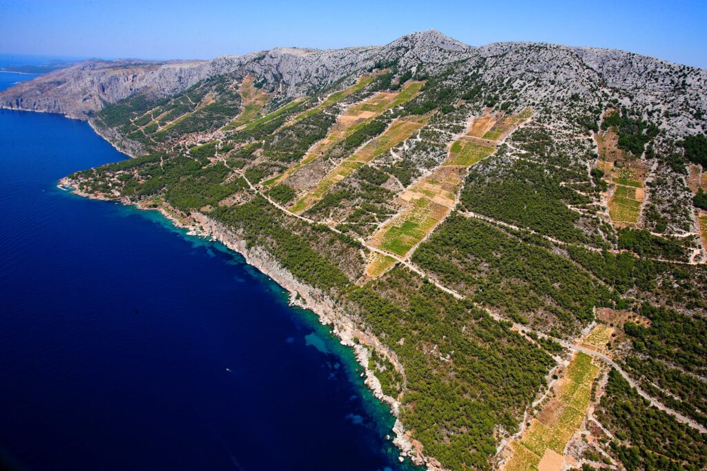Croatian-Islands-Vineyards