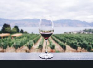 Image of a glass of red wine with a panoramic vineyard view