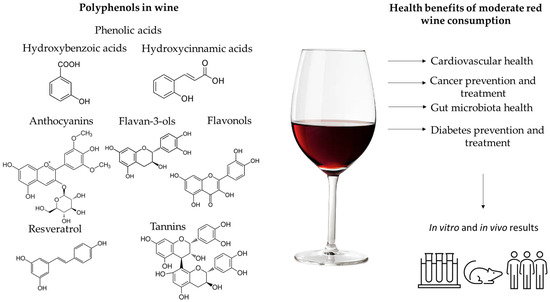 Image of polyphenols present in red wine and the health benefits of moderate red wine consumption