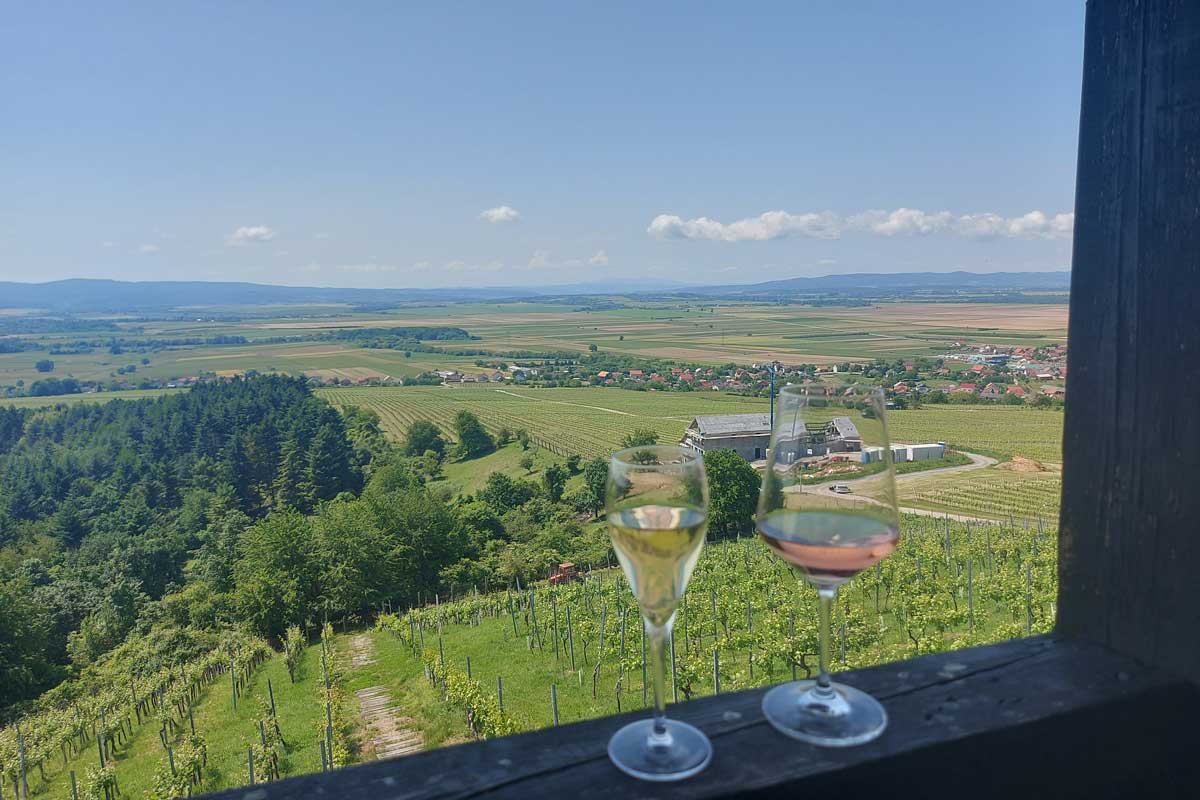 Single-Vineyard-Wines-Vinkomir-Viewpoint-2