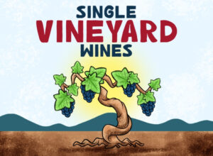 single-vineyard-wines_800x526