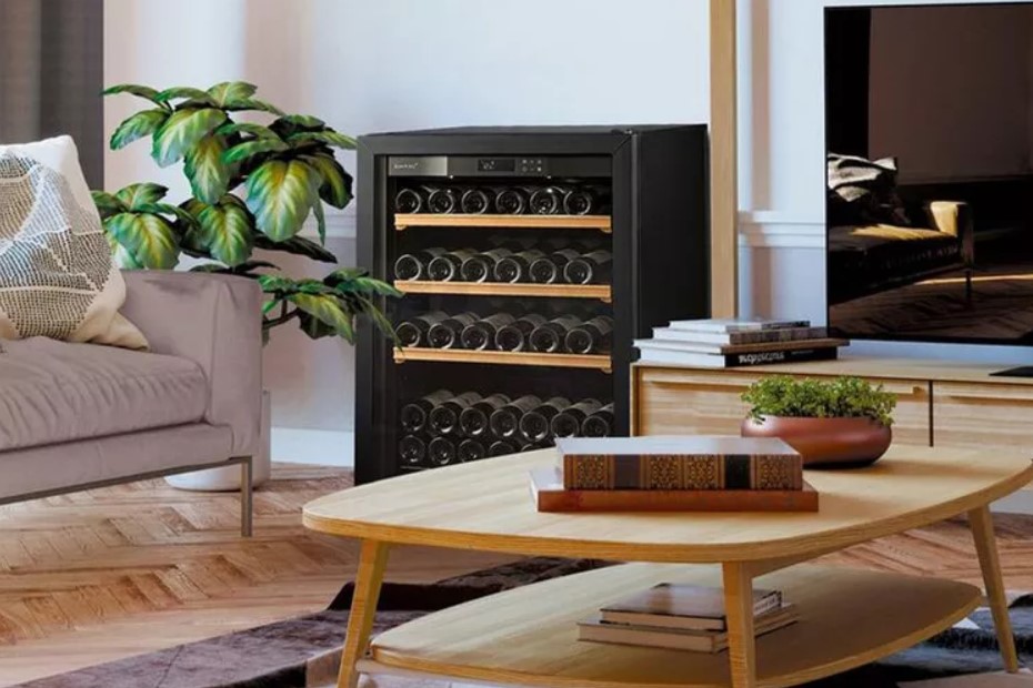 Image of Wine Enthusiast wine refrigerator in a living room