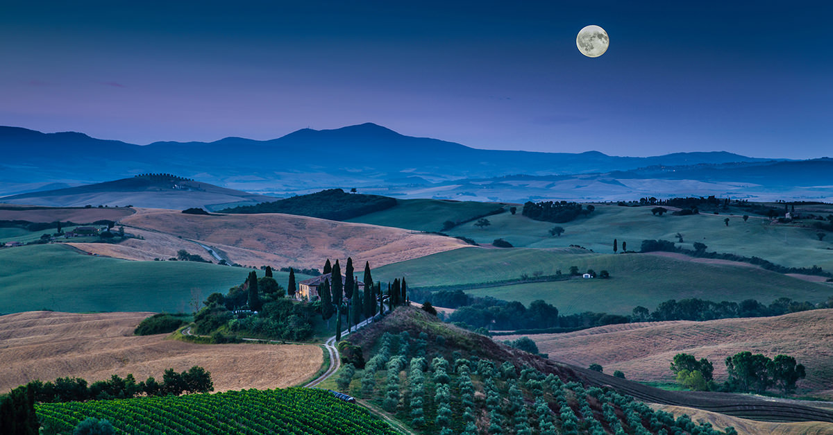 Image of a moon over the picturesque vineyard