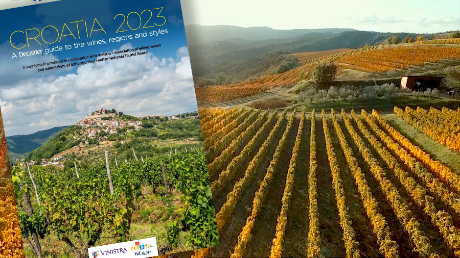 Image of Decanter special edition of a guide to Croatian wines with vineyard in the background