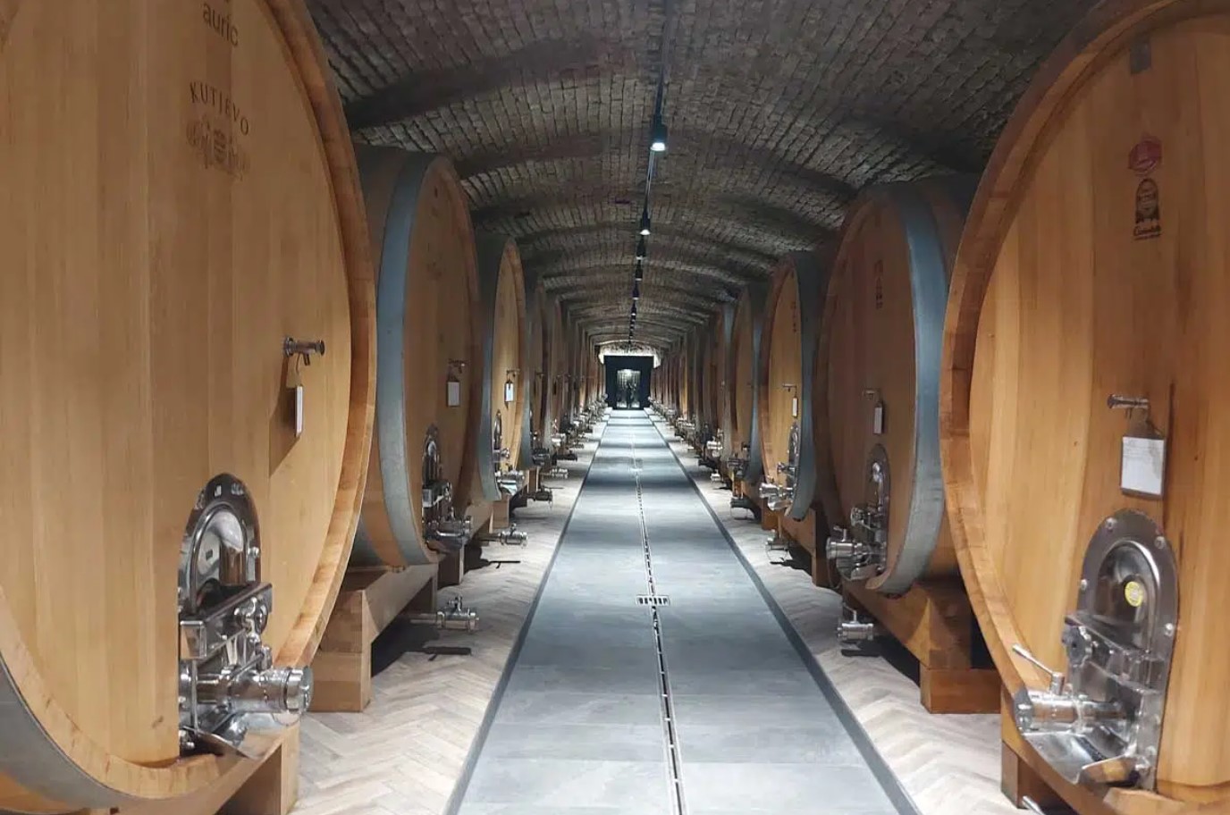Image of old cellar full of oak barrels in Kutjevo Winery