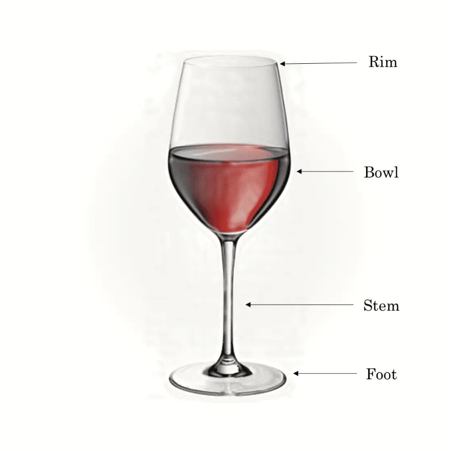 Image of a wine glass and parts of a wine glass
