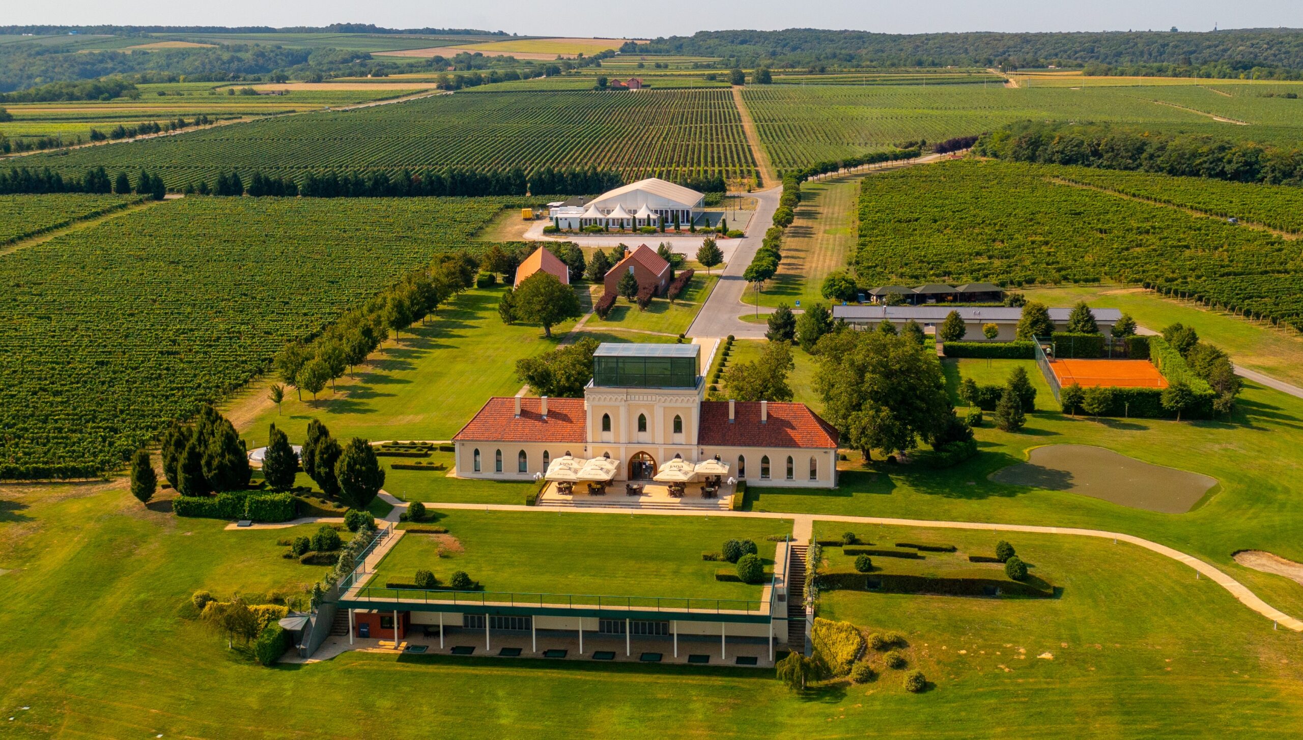 Image of Principovac vineyard of Ilok Cellars winery
