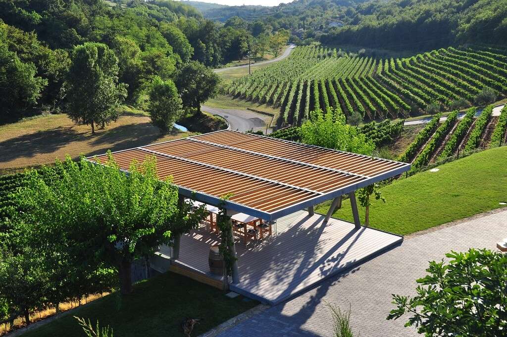 Image of Valle vineyards of Kozlović Winery