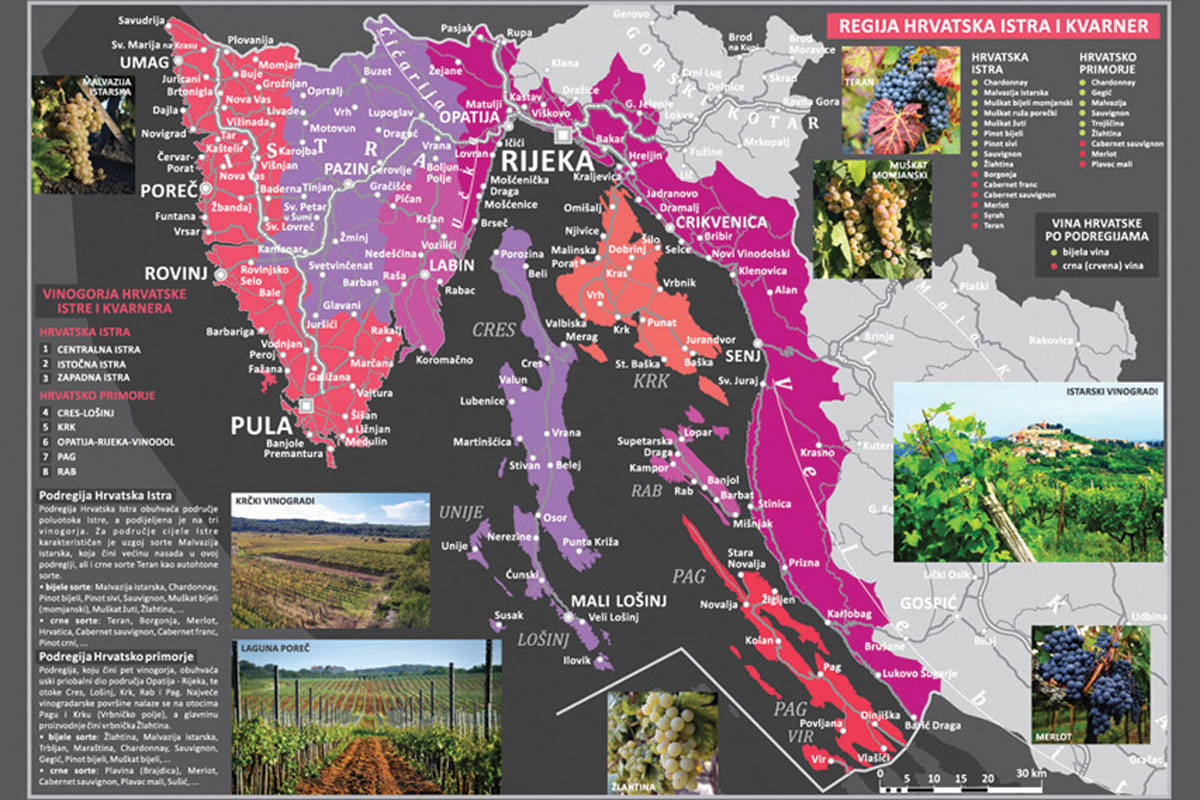 Istria-Wine-Region-Istria-and-Kvarner-map