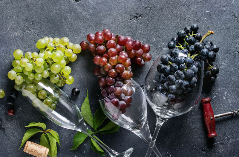 Istrian-Grape-Varieties-Featured