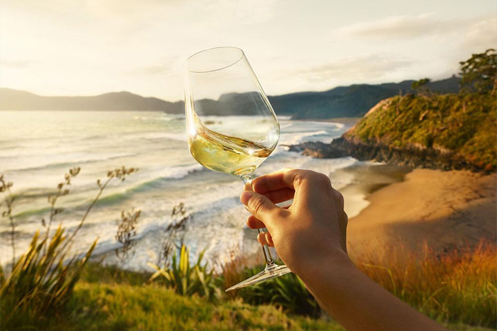 Image of a Sauvignon Blanc wine in a glass with panoramic beach and sea view