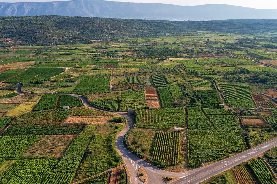 Image of a panoramic view of Stari Grad Plain vineyards in Hvar Island