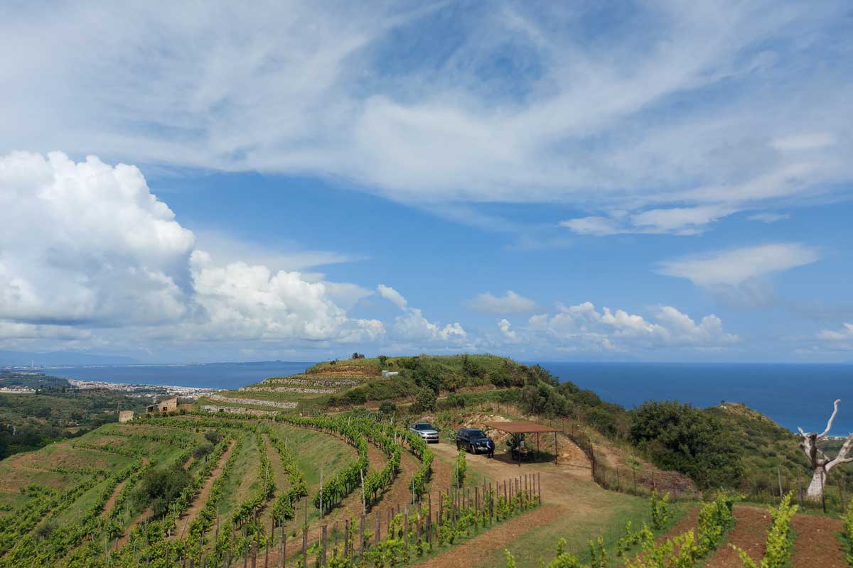 favourite-island-wine-Sicily