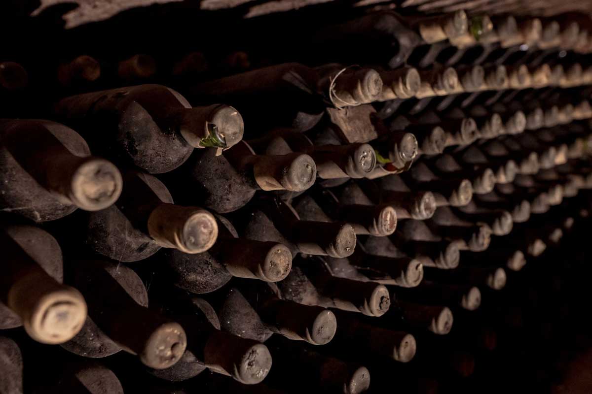 Archive-Wines-in-cellar