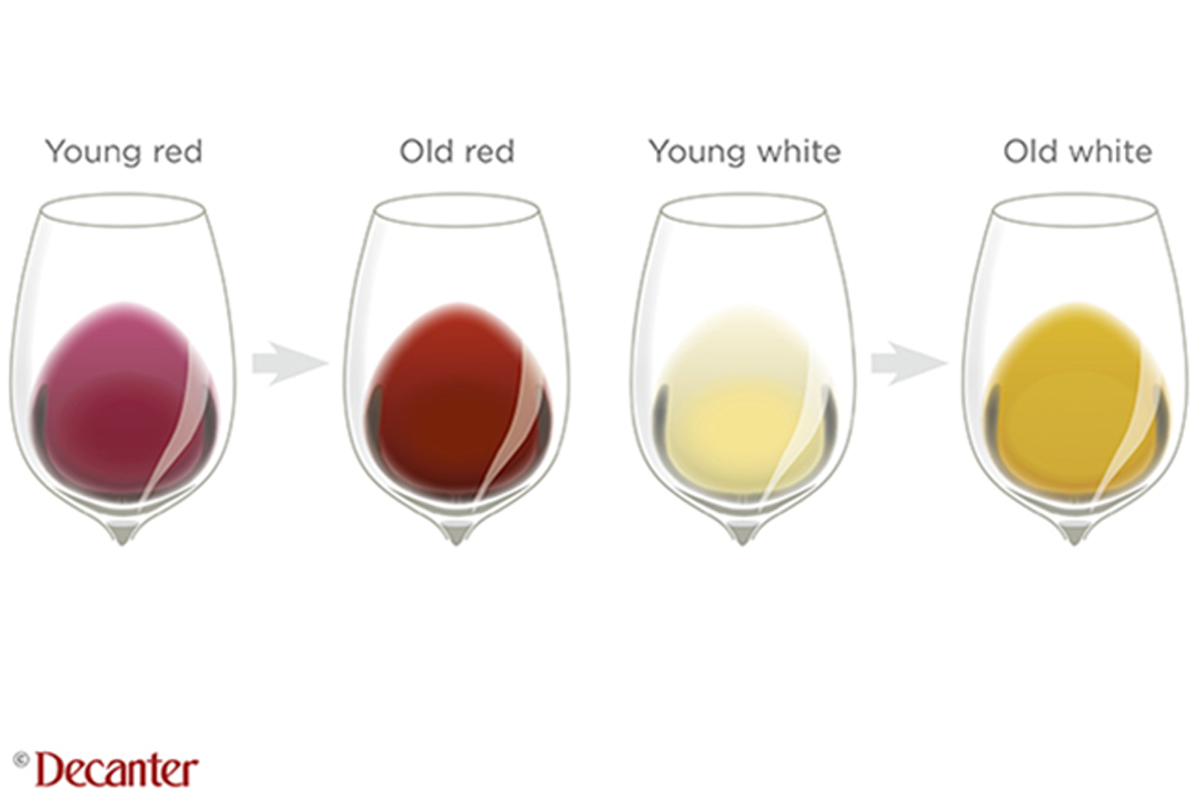 Archive-Wines-young-vs-old-colour