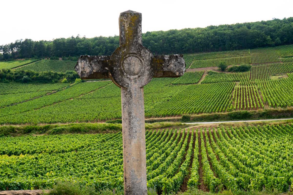 wine-subregions-Burgundy-Cross-in-front-of-vineyards