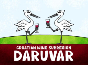 wine subregions_featured