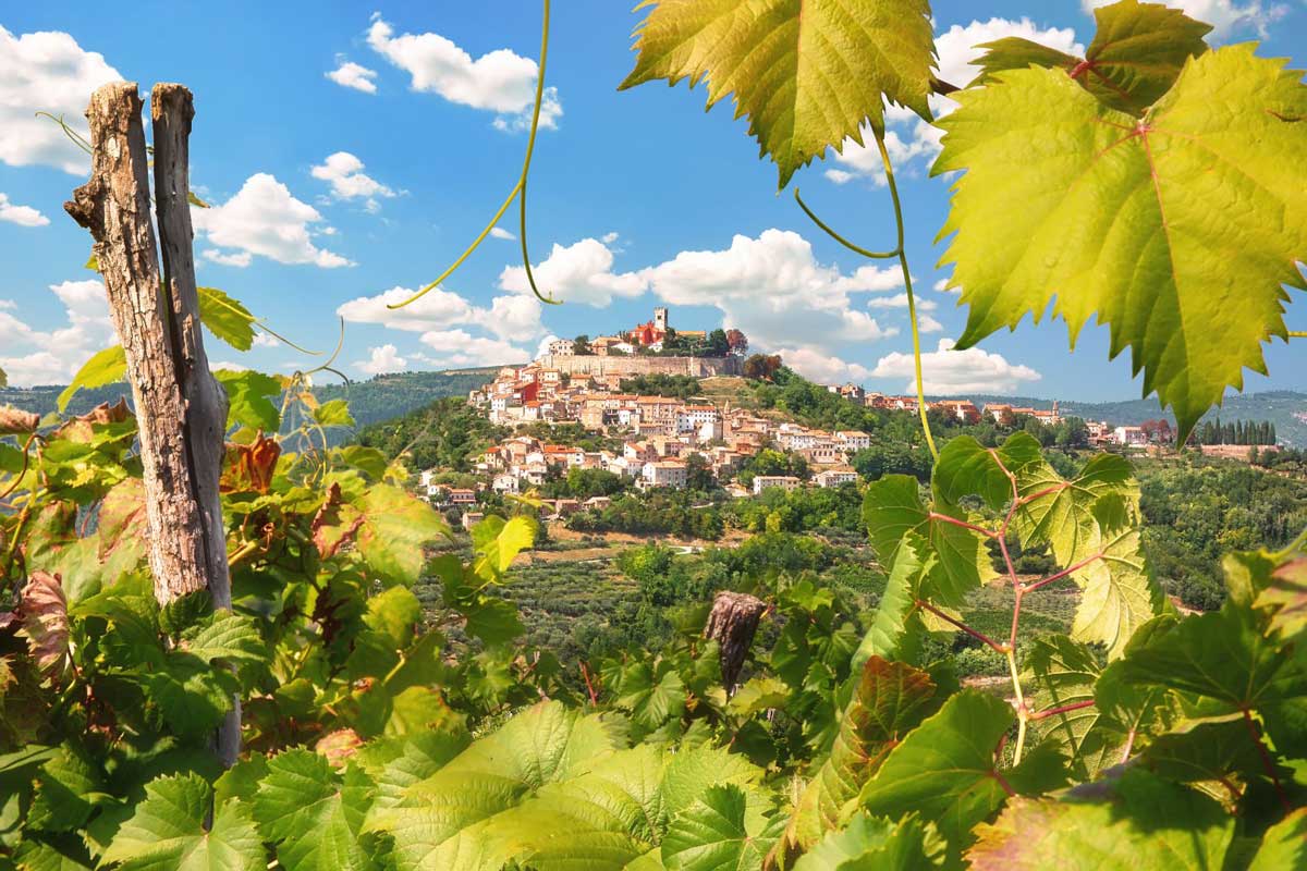 Croatian-Wine-Regions-Istria