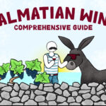 dalmatian-wine_800x526