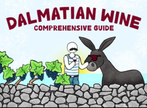 dalmatian-wine_800x526
