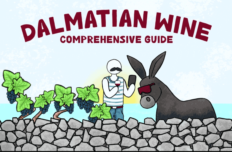 dalmatian-wine_video
