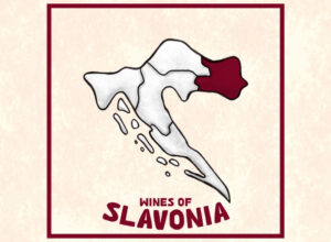 Slavonian Wines Featured