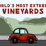 extreme-vineyards_featured