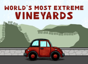 extreme-vineyards_featured