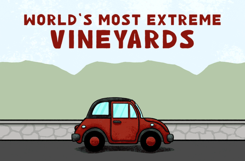 extreme-vineyards_video