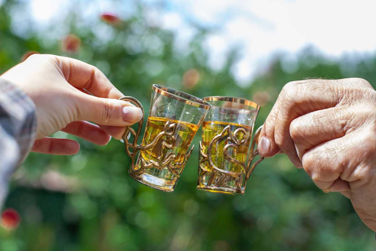 Croatian-Summer-Drinks-Rakija-cheers