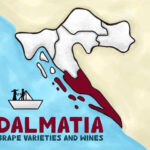 Dalmatian Wine Varieties Featured