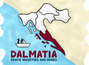 Dalmatian Wine Varieties Featured